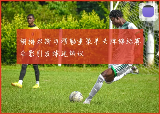 胡梅尔斯与穆勒重聚羊头牌锦标赛合影引发球迷热议