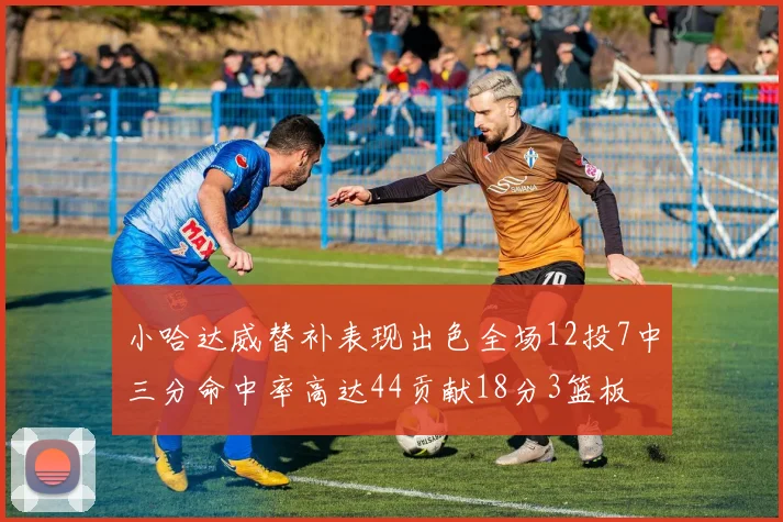 小哈达威替补表现出色全场12投7中三分命中率高达44贡献18分3篮板