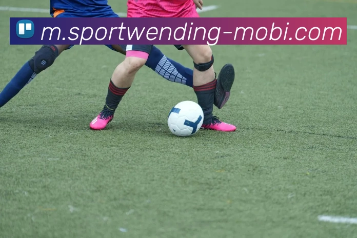 问鼎娱乐平台生态图